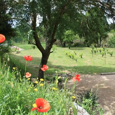 Peaceful Escape In Argeliers Holiday home *