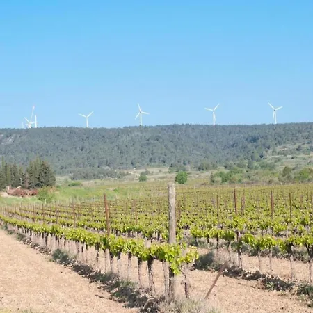 Peaceful Escape In Vakantiehuis Argeliers